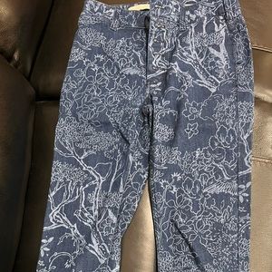 Pilcro and the letterpress Anthropologie Script jeans sz. 24w Petite - NEW